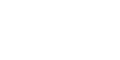 google-whitev4